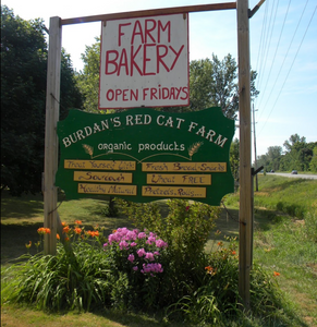 The sign for the Red Cat Farm Bakery, showing "Open Fridays, "Burdan's Red Cat Farm", and "oragnic products", located by the road with greenary background